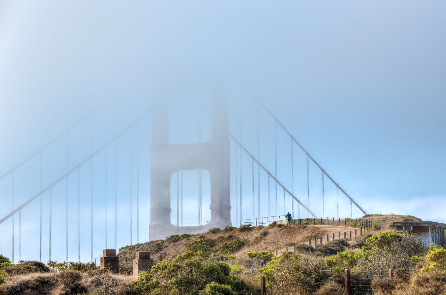 Walking into the mist